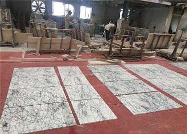 China Anunciou telhas de mármore brancas de pedra naturais do chanfro do assoalho do tamanho de 60x60cm  fornecedor