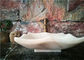 Dissipador de mármore poligonal do banheiro, dissipadores de pedra naturais da embarcação para o banheiro fornecedor