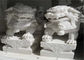 Escultura branca do leão do mármore do jade, esculturas animais de pedra cor personalizada fornecedor