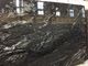 Lajes pretas cósmicas do granito da telha de pedra natural Precut de Brasil do preto de Gucci fornecedor